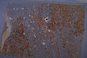 Cross Polarized, E54203/B