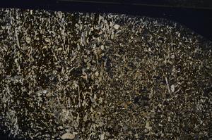 Cross Polarized, E54204