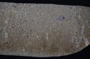 Cross Polarized, E54213