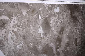 Plane Polarized, E54215