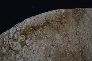 Cross Polarized, E54216