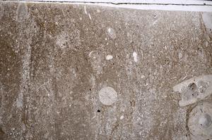 Plane Polarized, E54217