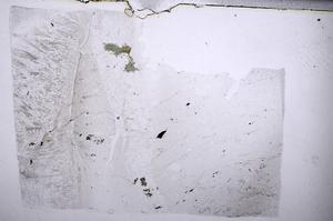 Plane Polarized, E54247/A