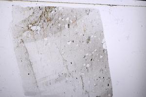 Plane Polarized, E54247/B