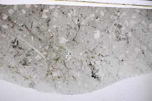 Plane Polarized, E54248