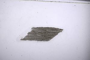 Plane Polarized, E54261