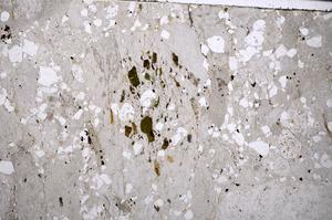 Plane Polarized, E54282