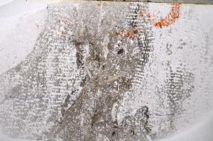 Plane Polarized, E54296