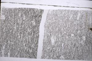 Plane Polarized, E54334