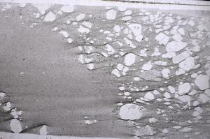 Plane Polarized, E54336