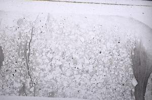 Plane Polarized, E54339