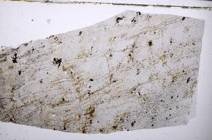 Plane Polarized, E54343