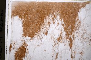 Plane Polarized, E54406