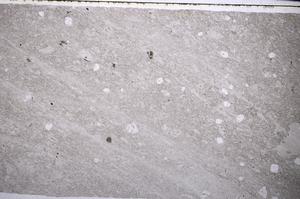 Plane Polarized, E54456