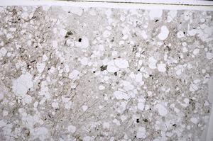 Plane Polarized, E54466