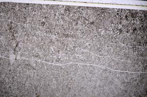 Plane Polarized, E54479