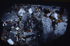 Cross Polarized, E54629/A