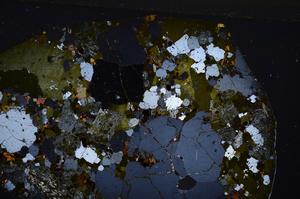 Cross Polarized, E54629/B