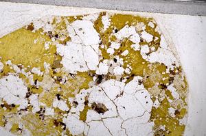 Plane Polarized, E54629/B