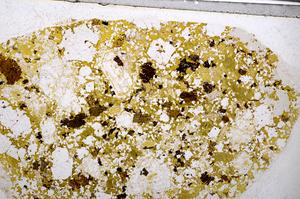 Plane Polarized, E54630/B