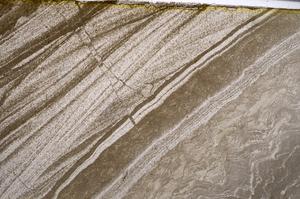 Plane Polarized, E54726