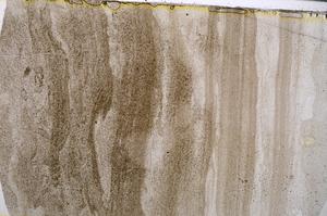 Plane Polarized, E54728