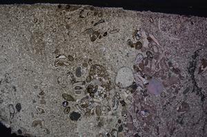 Cross Polarized, E54753