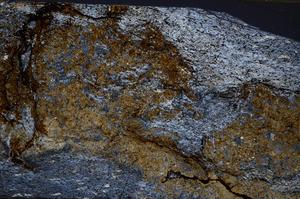 Cross Polarized, E54763