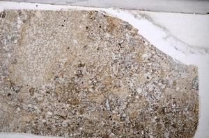 Plane Polarized, E54765