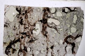 Plane Polarized, E54779