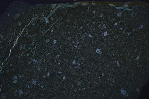 Cross Polarized, E54783