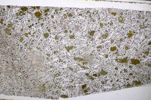 Plane Polarized, E54792