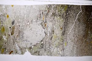 Plane Polarized, E54828