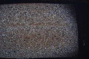 Cross Polarized, E54861