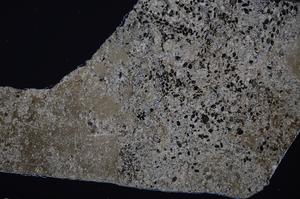 Cross Polarized, E54874