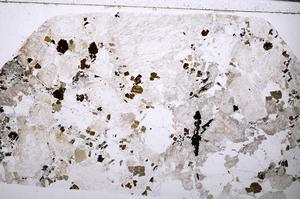 Plane Polarized, E54924