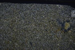 Cross Polarized, E54947