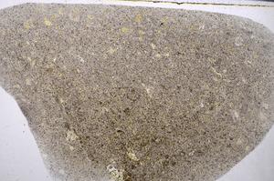 Plane Polarized, E54955/A