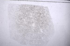 Plane Polarized, E54955/B