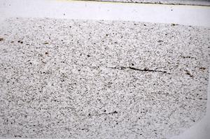 Plane Polarized, E54981