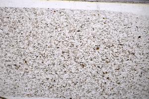 Plane Polarized, E54982