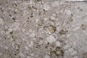 Plane Polarized, E55044