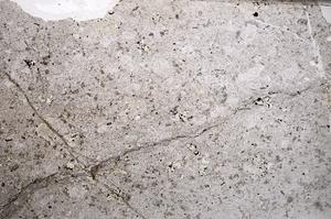 Plane Polarized, E55077