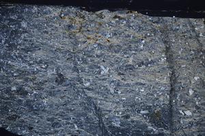 Cross Polarized, E55114