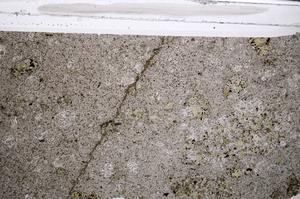 Plane Polarized, E55119