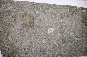 Plane Polarized, E55273