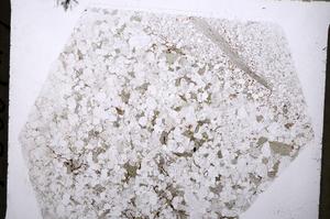 Plane Polarized, E55290