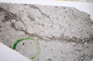 Plane Polarized, E55317