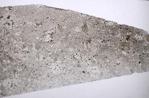 Plane Polarized, E55318