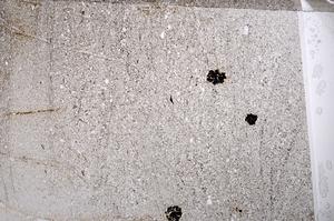 Plane Polarized, E55354/A